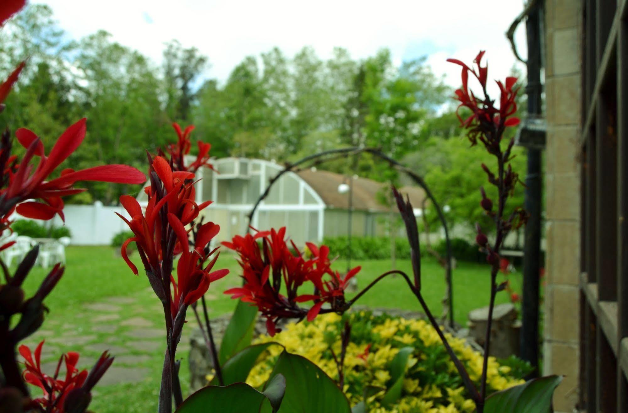 Hotel Termas De Liérganes Екстериор снимка
